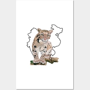 beautiful Snow leopard Posters and Art